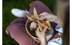 Juego De Cubiertos Koziol Klikk 3 Piezas Nature Coral -Barbacoa Suministros Tienda 504278 3431202