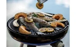 Barbacoa Cadac Carri Chef 50 8 Barbacoa Cadac Carri Chef 50 -Barbacoa Suministros Tienda 511064 3571555