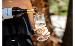 Juego De 2 Copas De Vino Berger 8 Juego De 2 Copas De Vino Berger -Barbacoa Suministros Tienda 594239 4331207