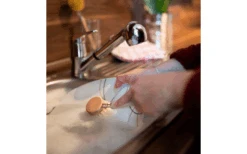 Cabezales De Cambio De Chinchilla 3 Piezas De Madera Incluyendo El Cepillo De Enjuague