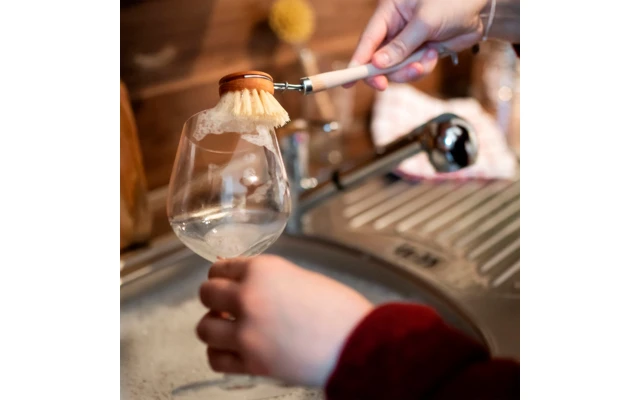 Cabezales De Cambio De Chinchilla 3 Piezas De Madera Incluyendo El Cepillo De Enjuague 4 Cabezales De Cambio De Chinchilla 3 Piezas De Madera Incluyendo El Cepillo De Enjuague - Imagen 2