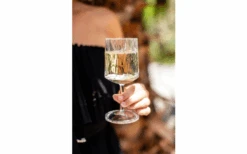 Juego De 2 Copas De Vino Berger 9 Juego De 2 Copas De Vino Berger -Barbacoa Suministros Tienda 690069 4697631