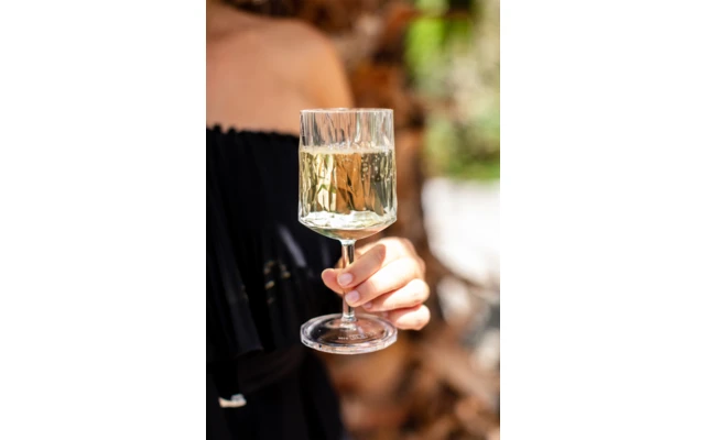 Juego De 2 Copas De Vino Berger 6 Juego De 2 Copas De Vino Berger - Imagen 4